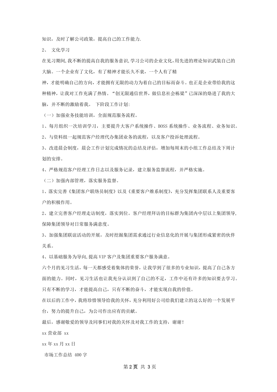 市场工作总结.docx_第2页