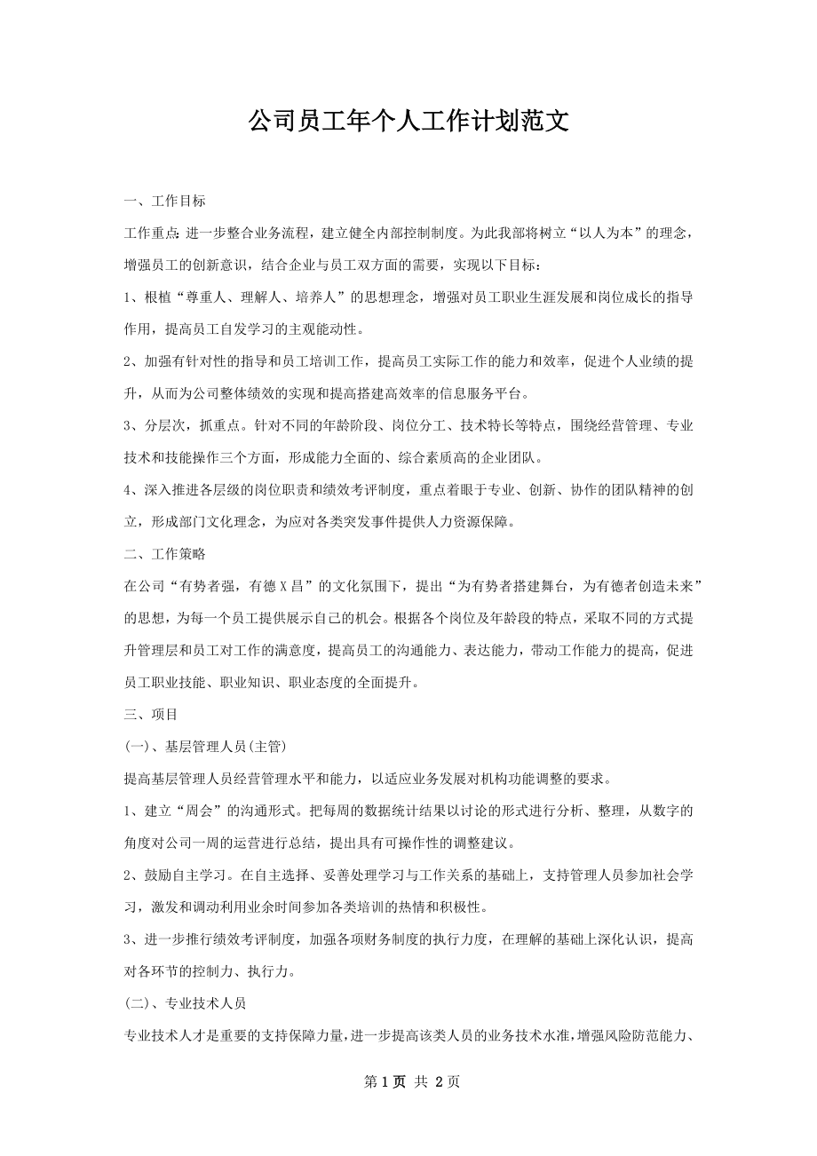 公司员工年个人工作计划范文.docx_第1页