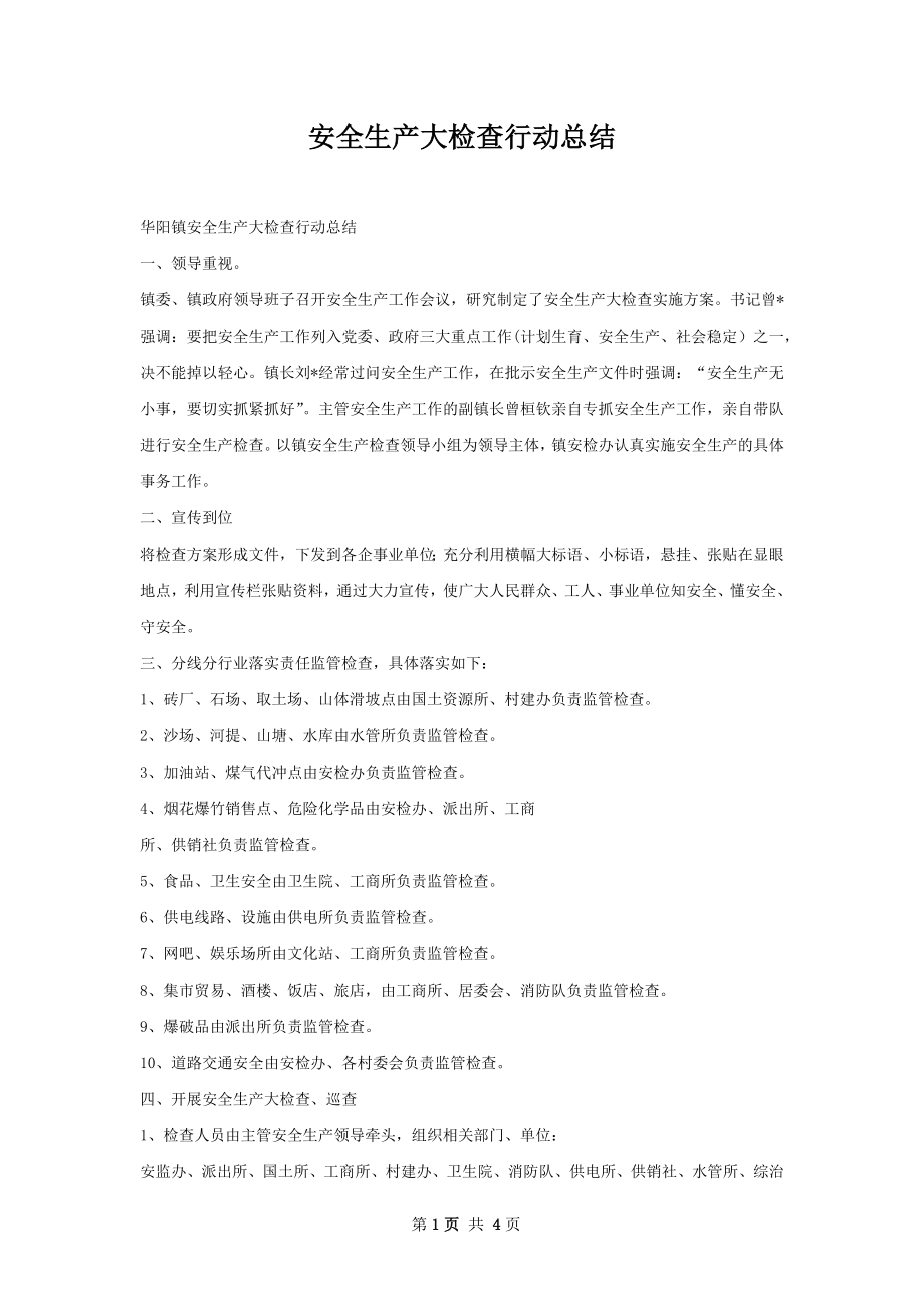 安全生产大检查行动总结.docx