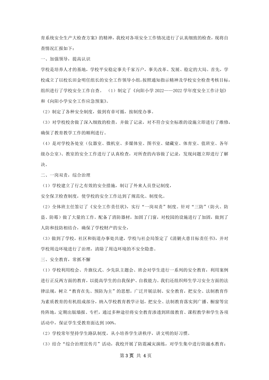 安全生产大检查行动总结.docx_第3页