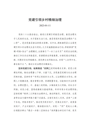 党建引领乡村精细治理.docx