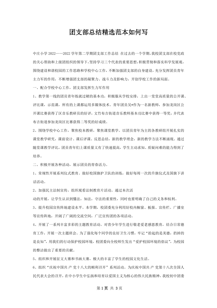 团支部总结精选范本如何写.docx_第1页