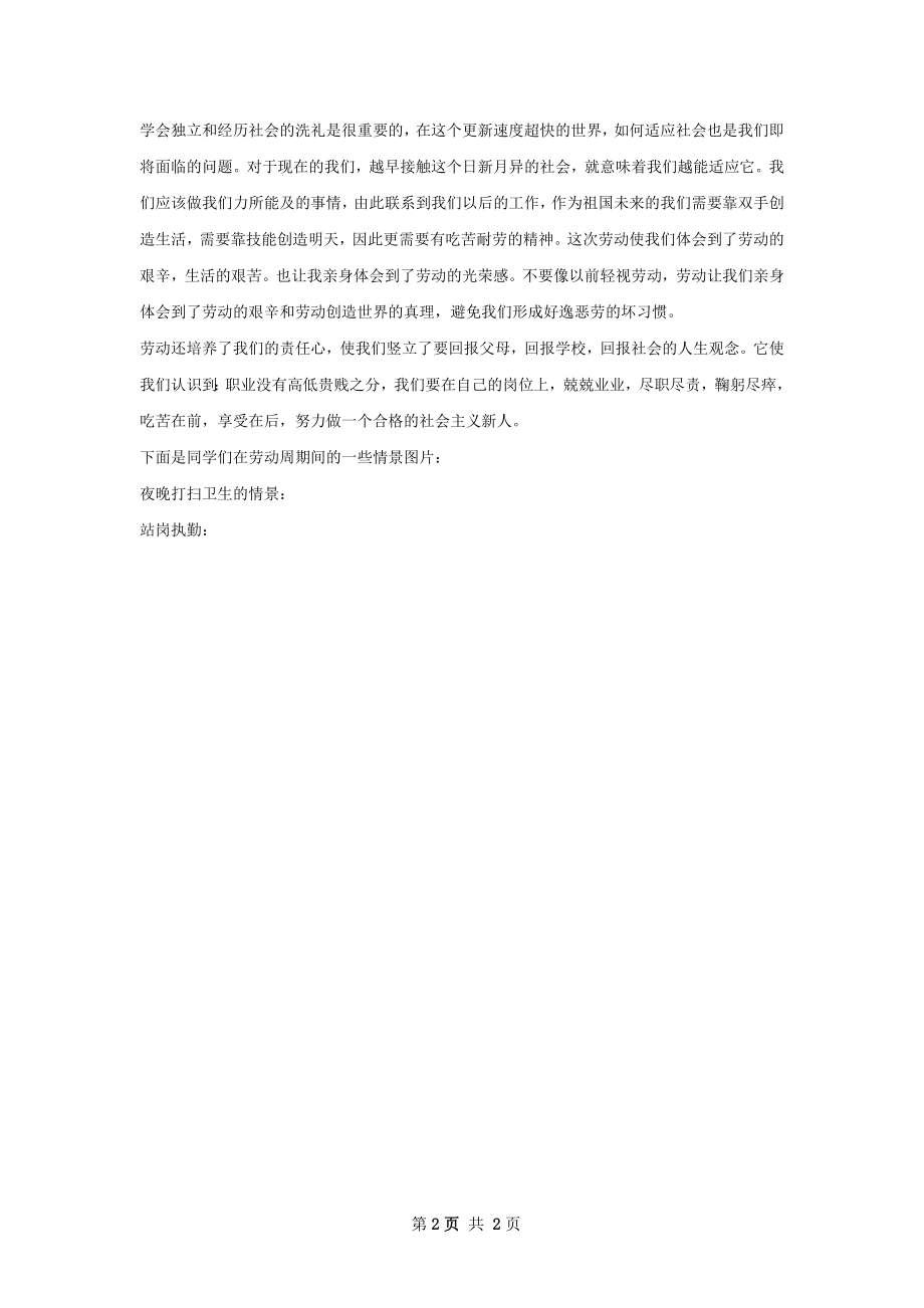 劳动周总结模板如何写.docx_第2页