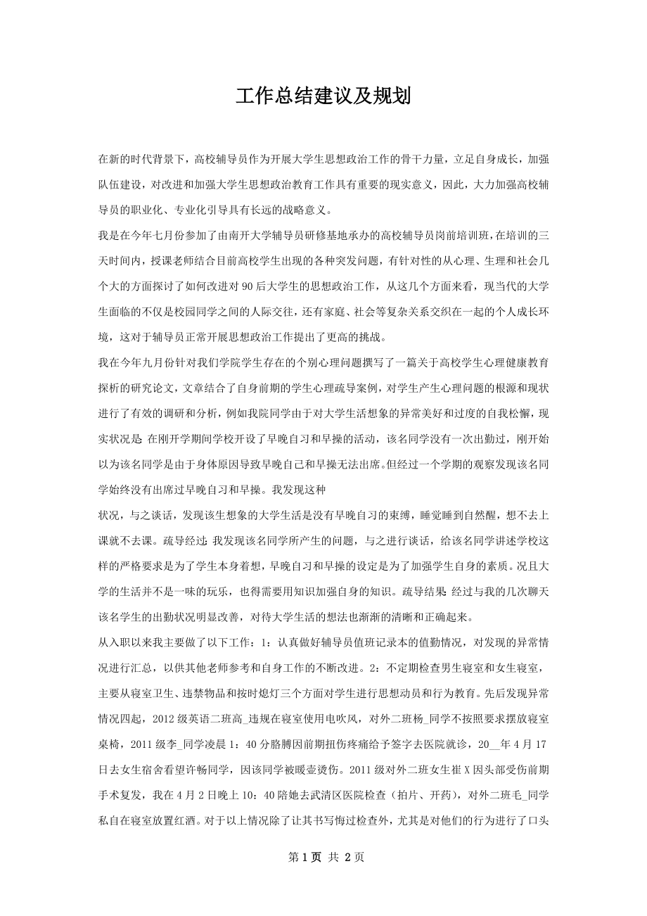 工作总结建议及规划.docx_第1页