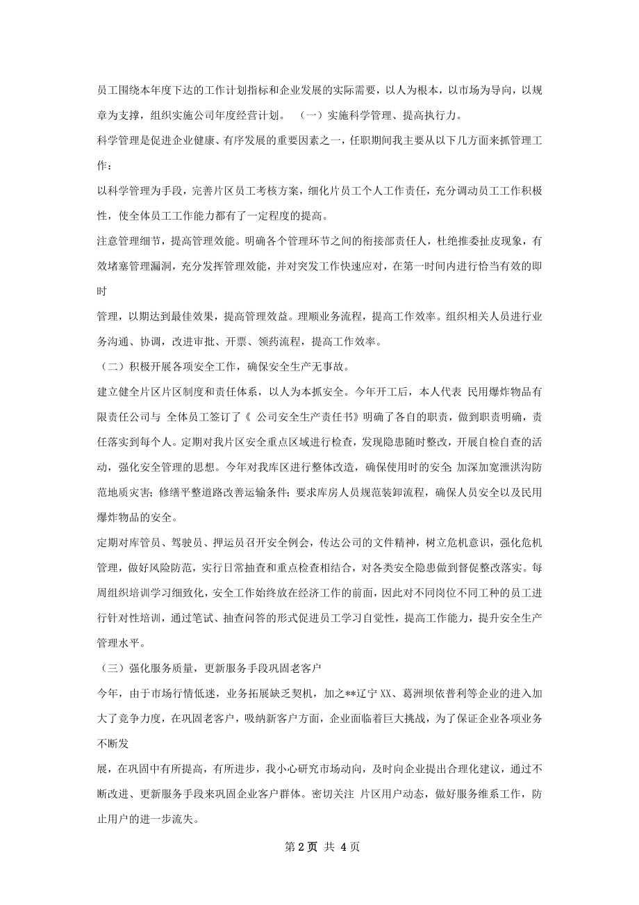 区域经年度工作总结.docx_第2页