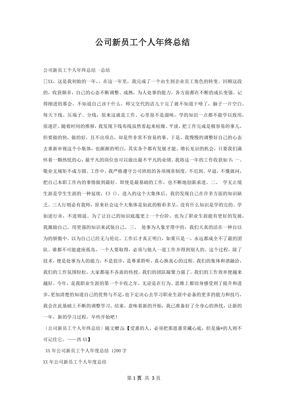 公司新员工个人年终总结.docx_第1页