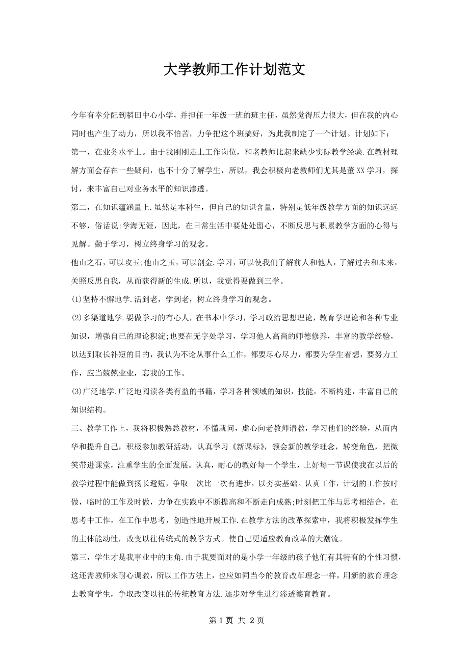 大学教师工作计划范文.docx_第1页