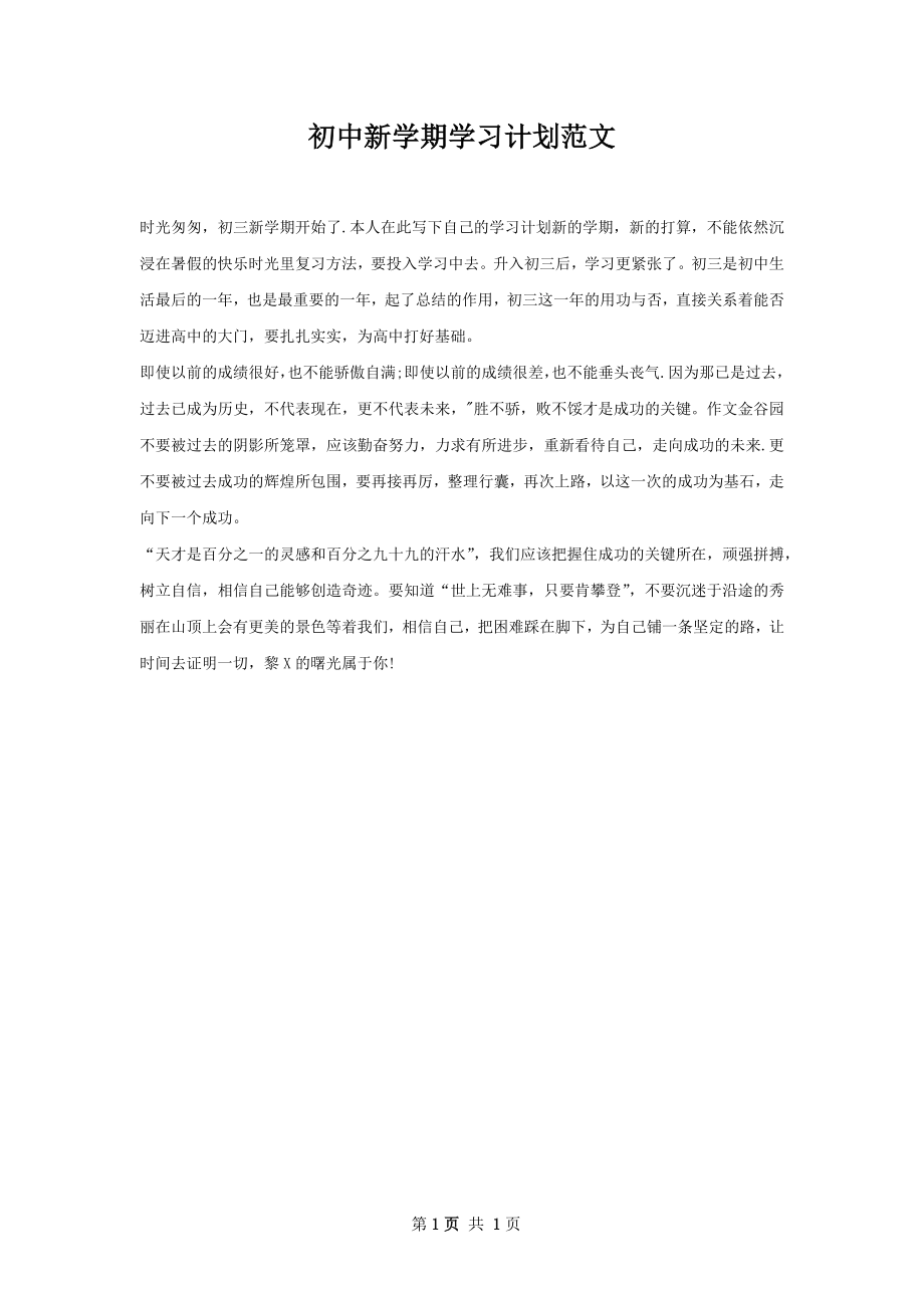 初中新学期学习计划范文.docx_第1页