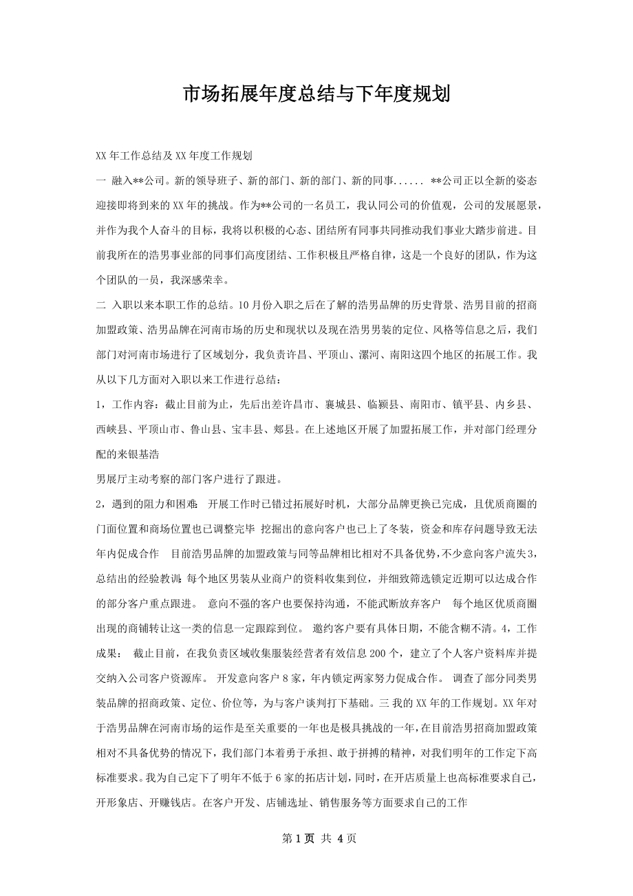 市场拓展年度总结与下年度规划.docx_第1页