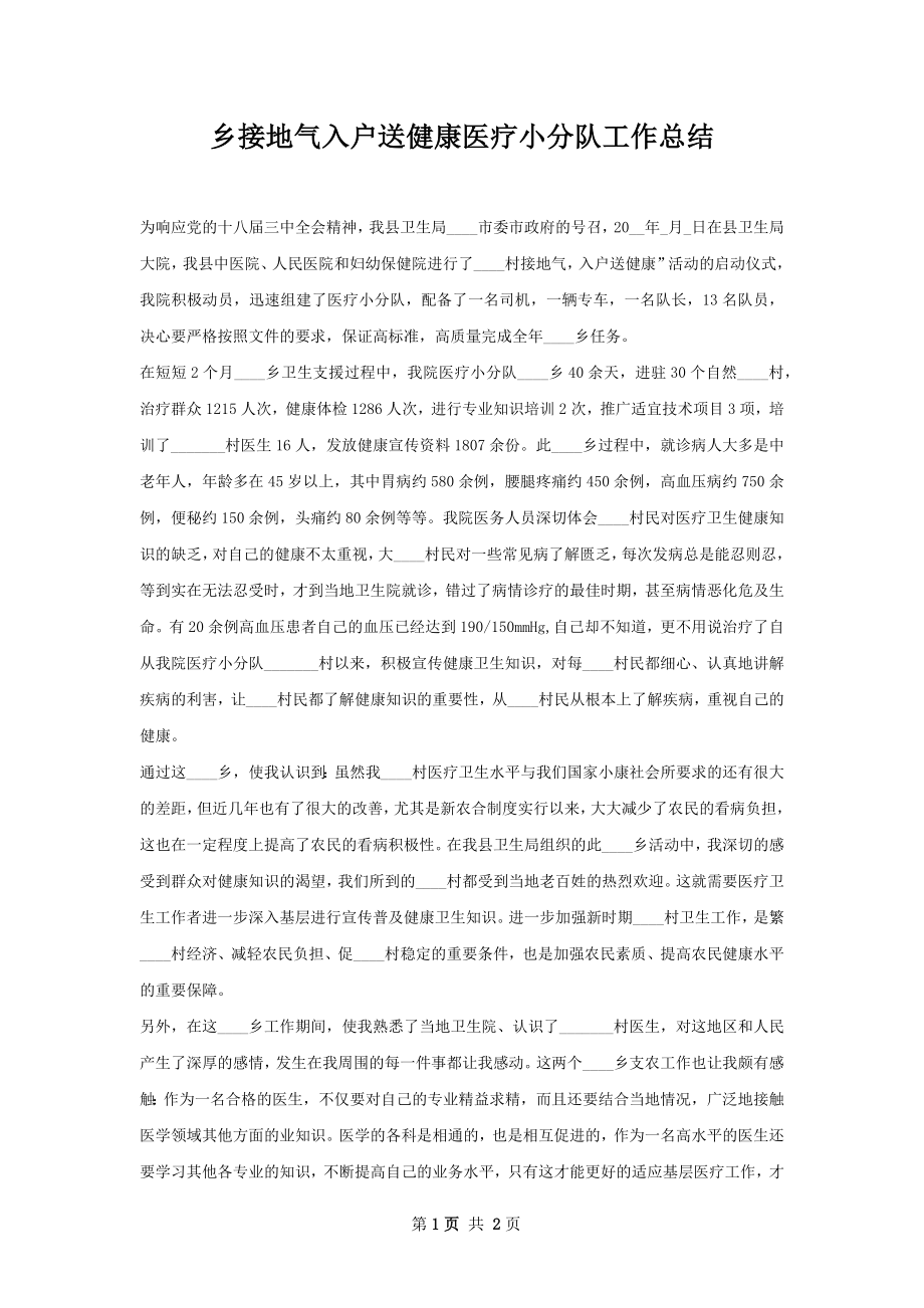 乡接地气入户送健康医疗小分队工作总结.docx_第1页