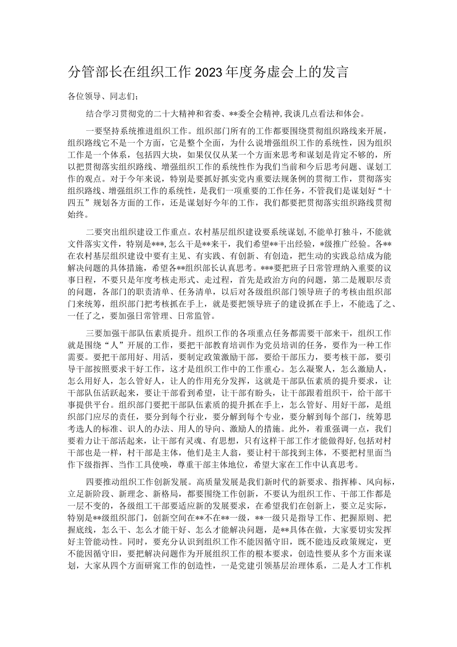 分管部长在组织工作2023年度务虚会上的发言.docx_第1页