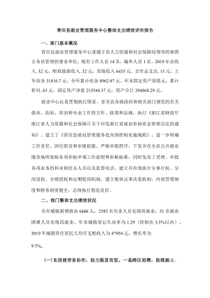 青田县就业管理服务中心整体支出绩效评价报告.docx