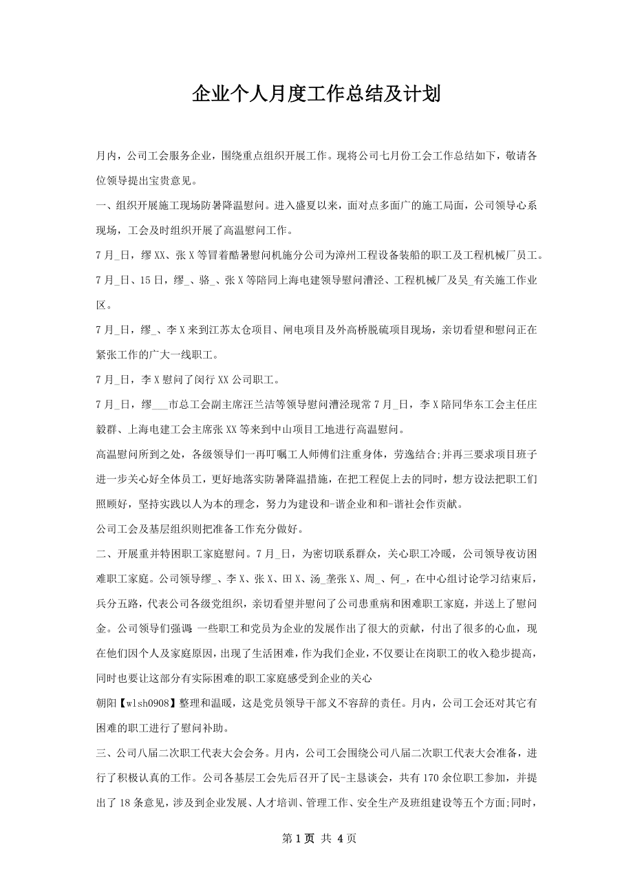 企业个人月度工作总结及计划.docx_第1页