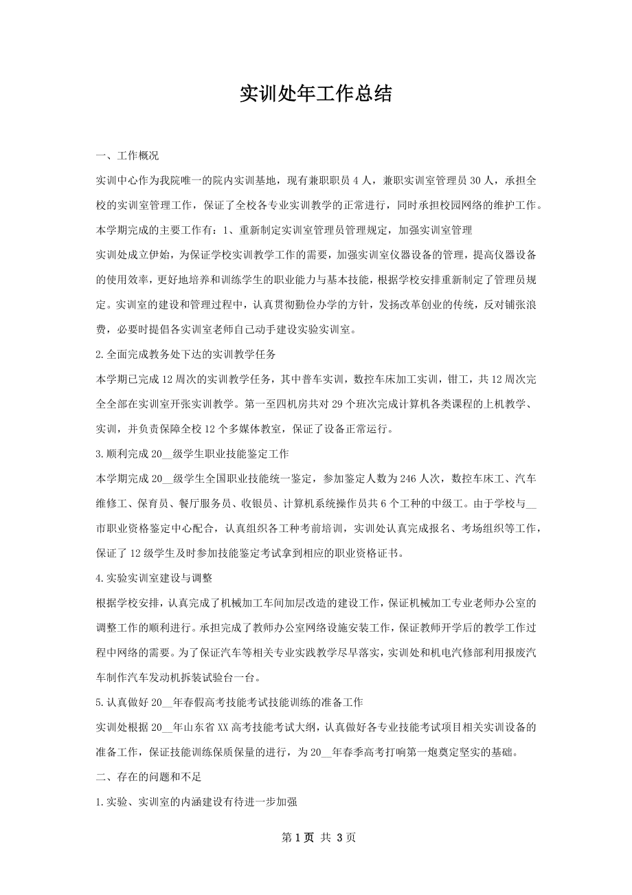 实训处年工作总结.docx_第1页