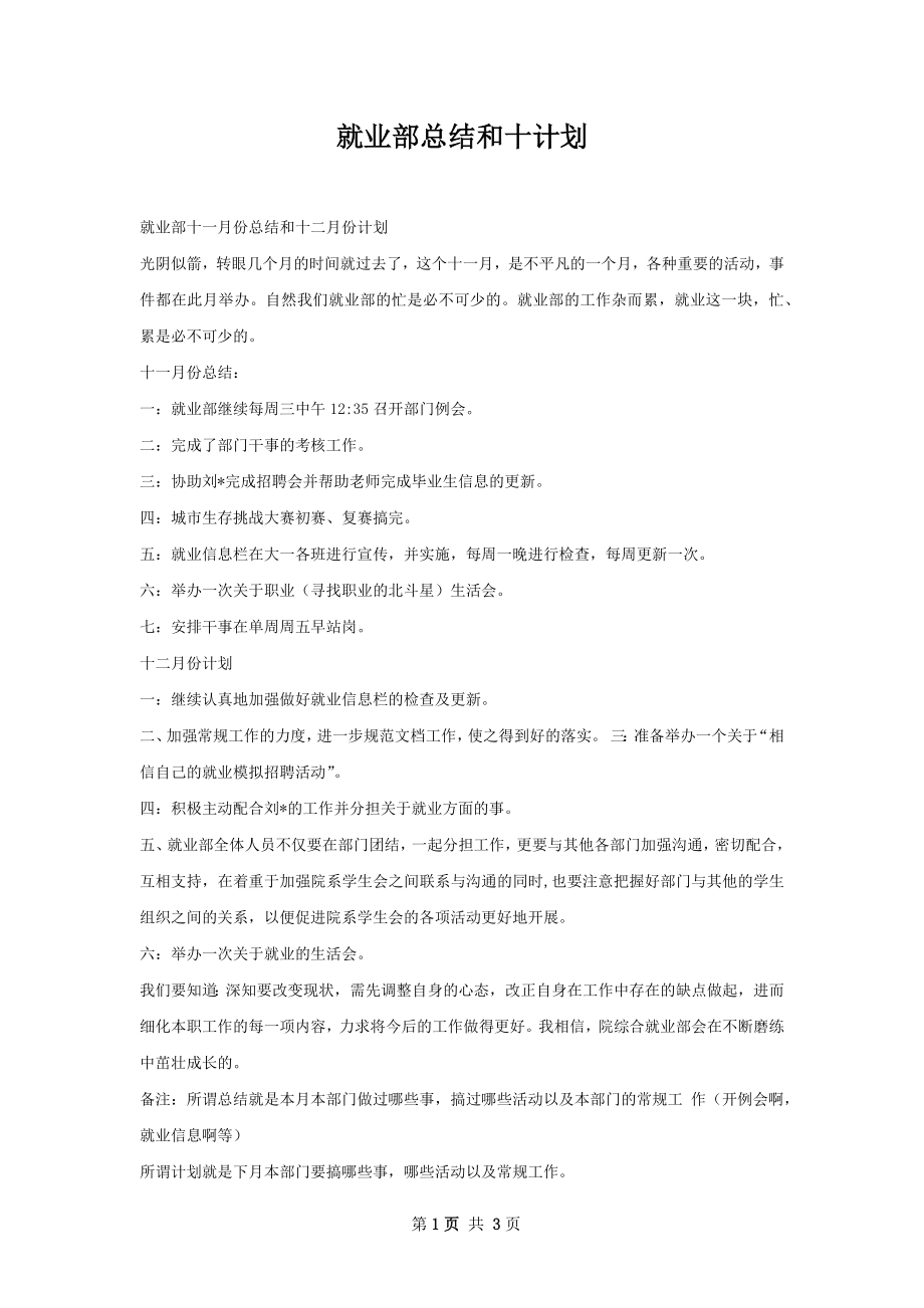 就业部总结和十计划.docx_第1页