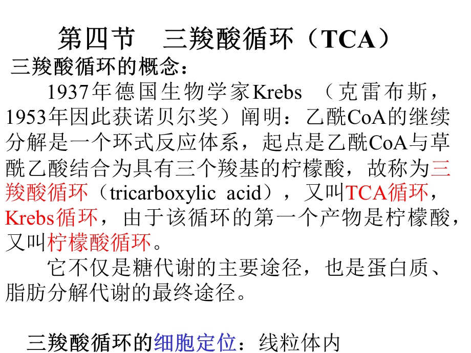 [精品]三羧酸循环(TCA).ppt_第1页