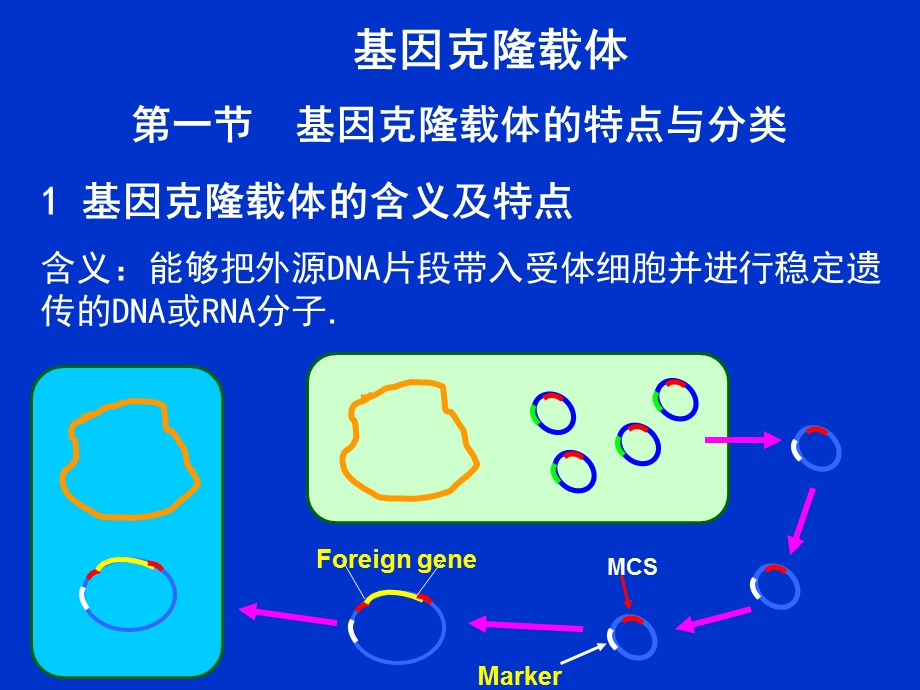 第五章基因克隆载体.ppt_第1页