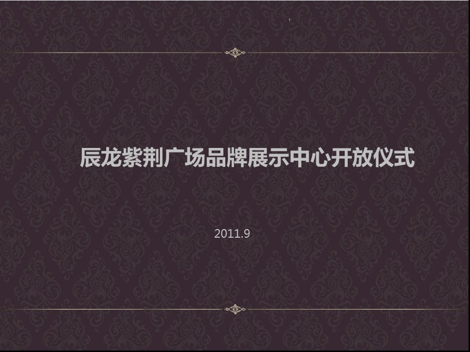 辰龙紫荆广场品牌展示中心开放仪式策划方案.ppt_第1页