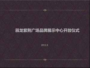 辰龙紫荆广场品牌展示中心开放仪式策划方案.ppt