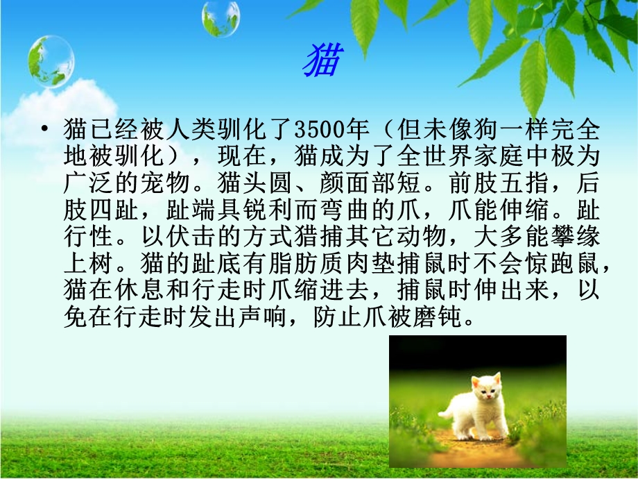 动物简介.ppt.ppt_第3页