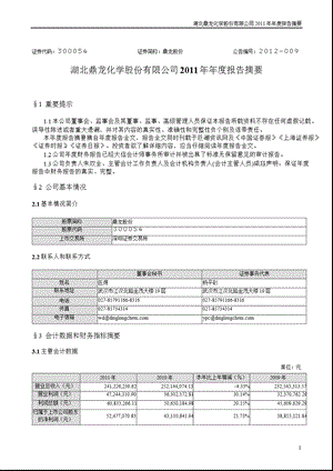 鼎龙股份：报告摘要.ppt