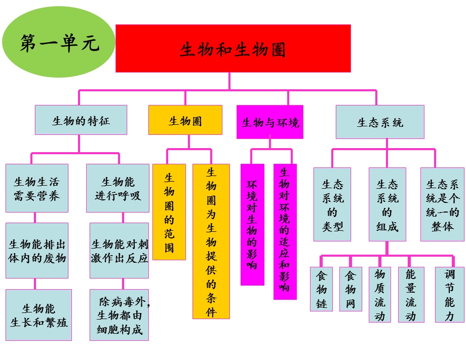 初中生物七级上知识框架.ppt_第3页