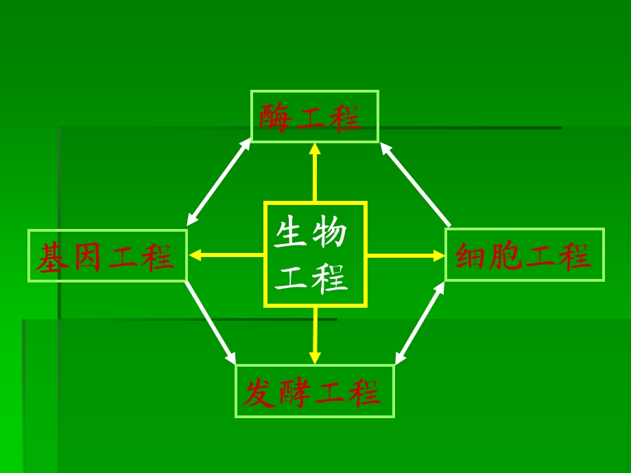 发酵工程生物科学.ppt_第2页