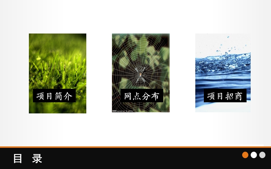 精英网招商方案.ppt_第2页