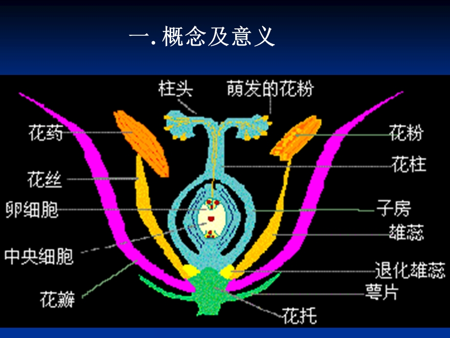 花药和花粉的培养.ppt_第2页