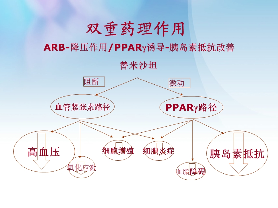 替米沙坦培训.ppt_第3页