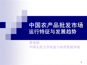 中国农产品批发市场运行特征与发展趋势.ppt