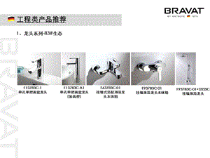 德国贝朗卫浴工程项目管理手册.ppt