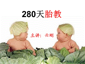 280天胎教.ppt