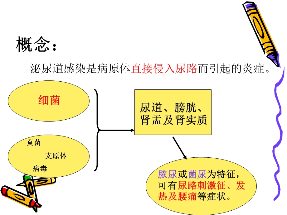 小儿泌尿道感染.ppt.ppt_第2页