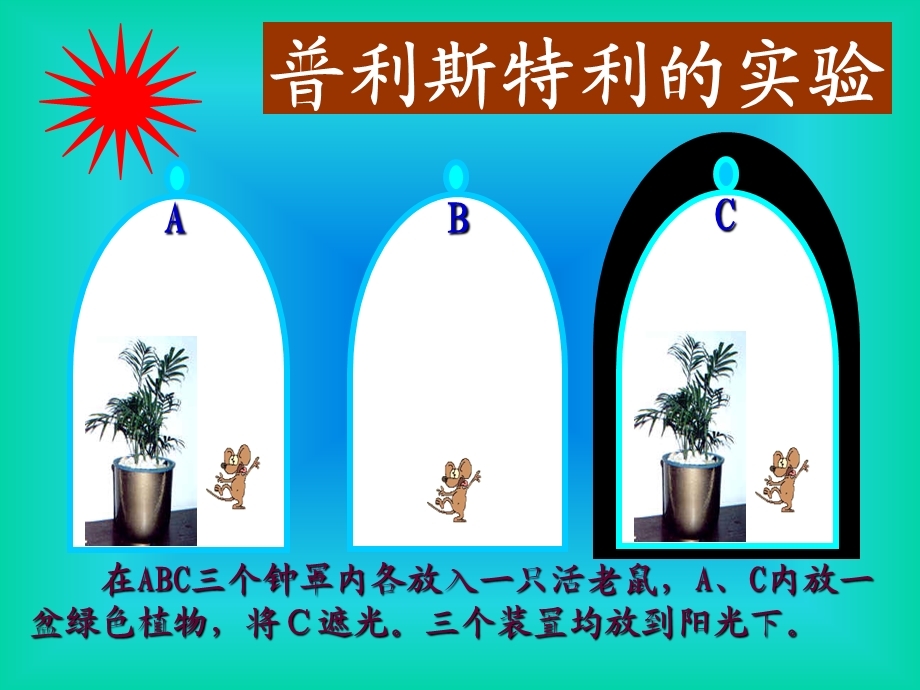 654普利斯特利的实验.ppt_第2页