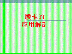 腰椎解剖应用.ppt