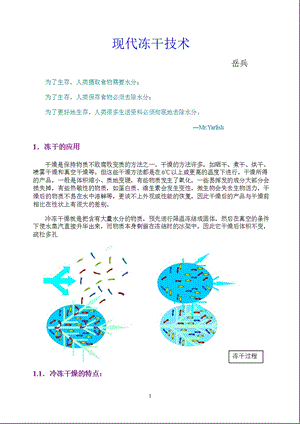 现代冻干技术.ppt