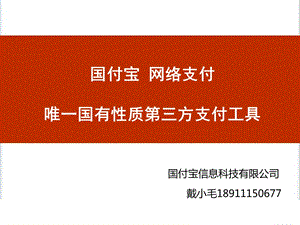 国付宝网络支付产品服务整体介绍.ppt