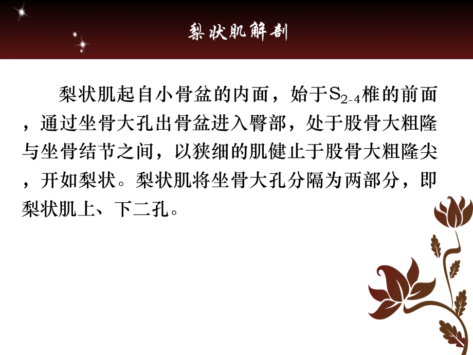 梨状肌与坐骨神经.ppt.ppt_第3页