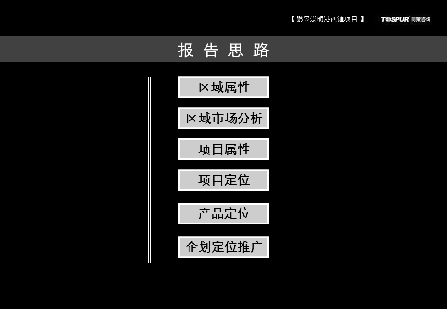 上海崇明港西镇项目定位策划报告.ppt_第2页