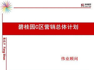 伟业北京碧桂园C区地产项目营销报告107页.ppt