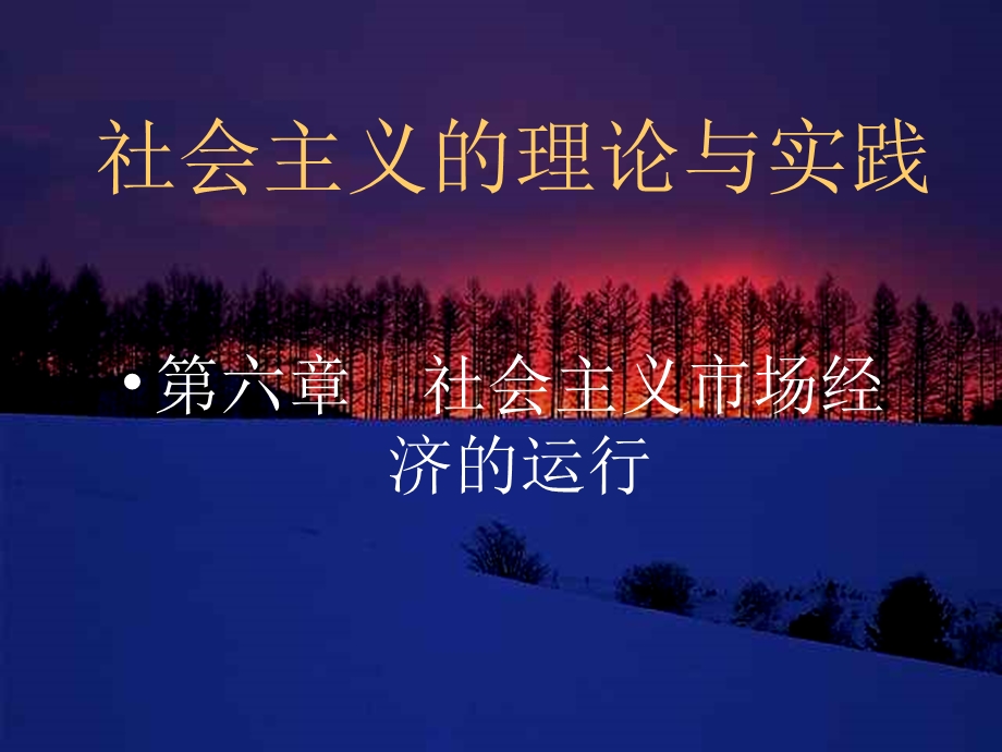 社会主义理论与实践6.ppt_第1页