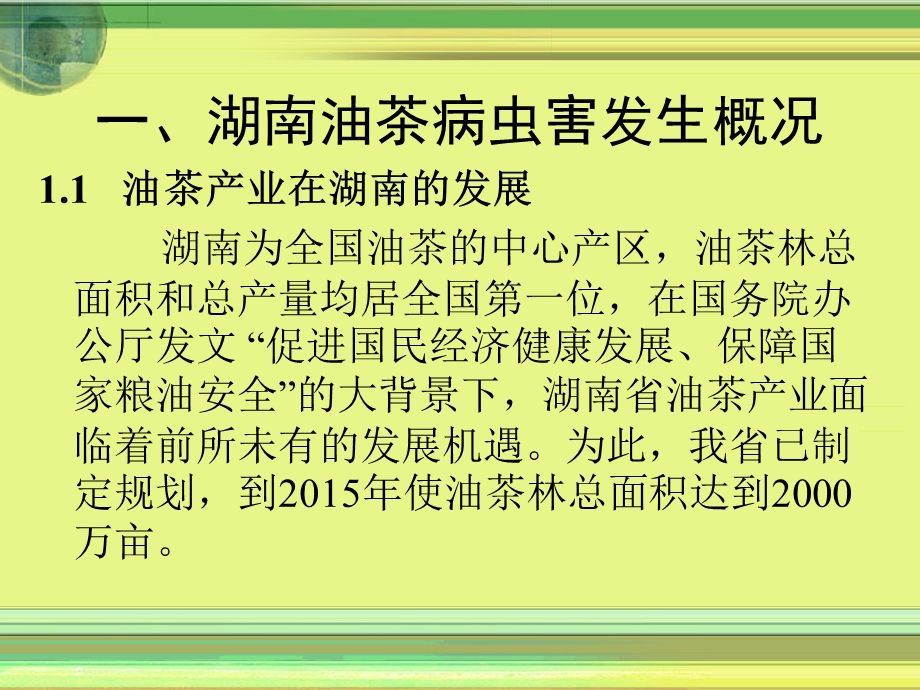 湖南省油茶病虫害介绍专题.ppt_第3页