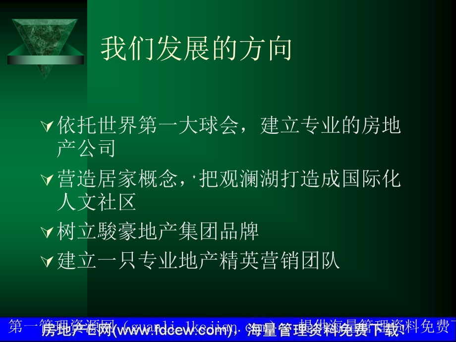 圣安德鲁斯高尔夫别墅销售策划报告书提案87p.ppt_第3页