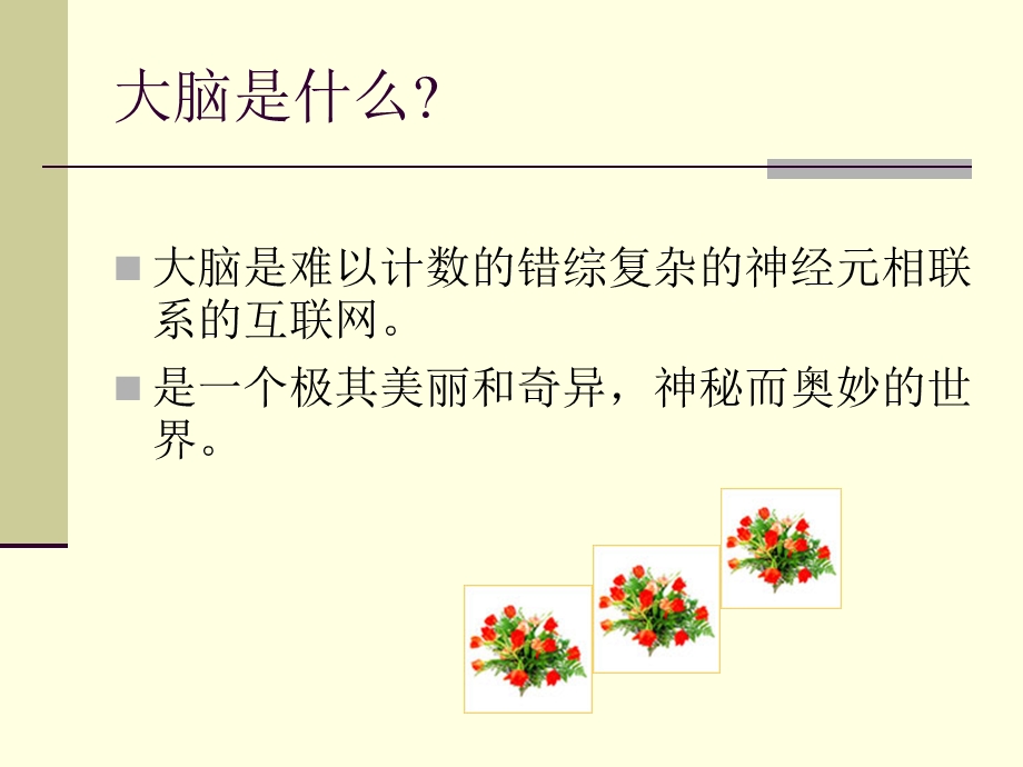 大脑的营养(新).ppt_第2页