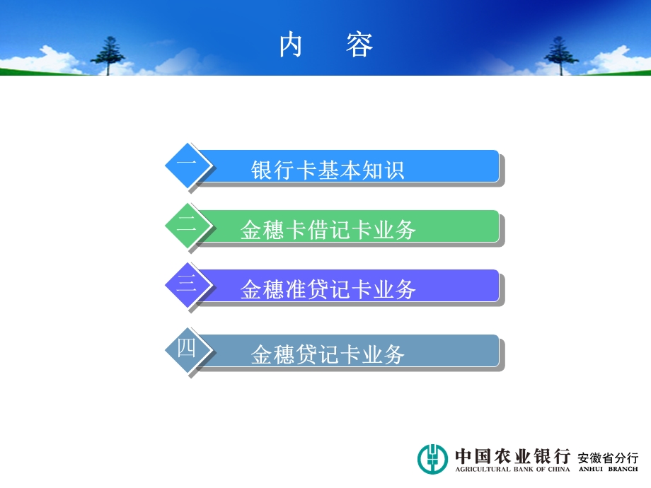 农行银行卡业务介绍.ppt_第2页