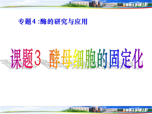 专题四课题3：酵母细胞的固定化.ppt.ppt