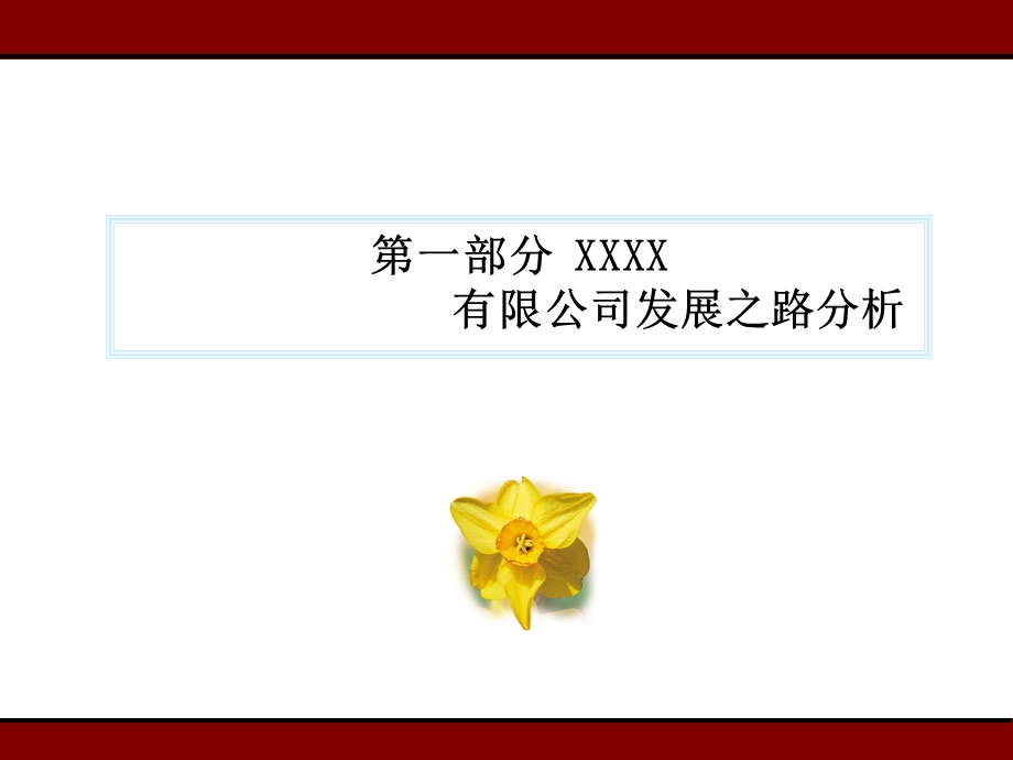 XXXX有限公司发展之路分析.ppt_第3页