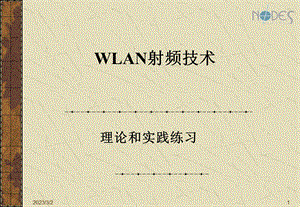 WLAN射频技术WLAN.ppt