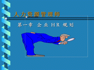 HR规划管理师.ppt